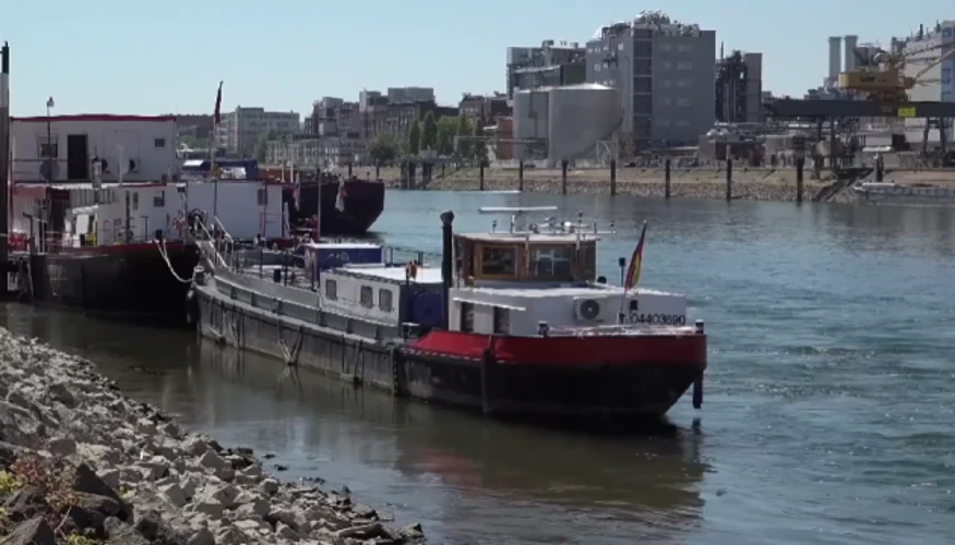 Обміліле русло Рейну біля водомірної станції Кауб