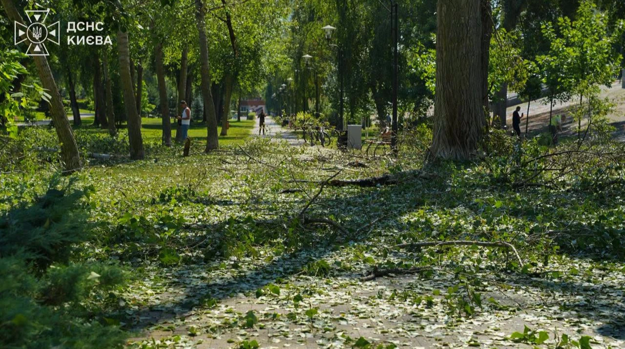 Повітряні сили ЗСУ підтвердили атаку 224 БпЛА 29 серпня: головний удар — Київ